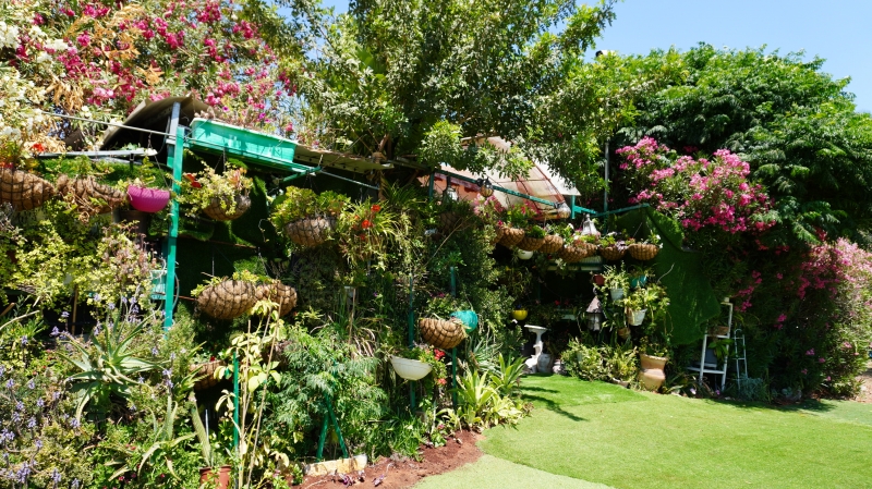 gallery_picture