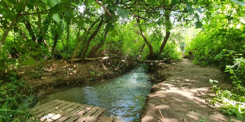 gallery_picture
