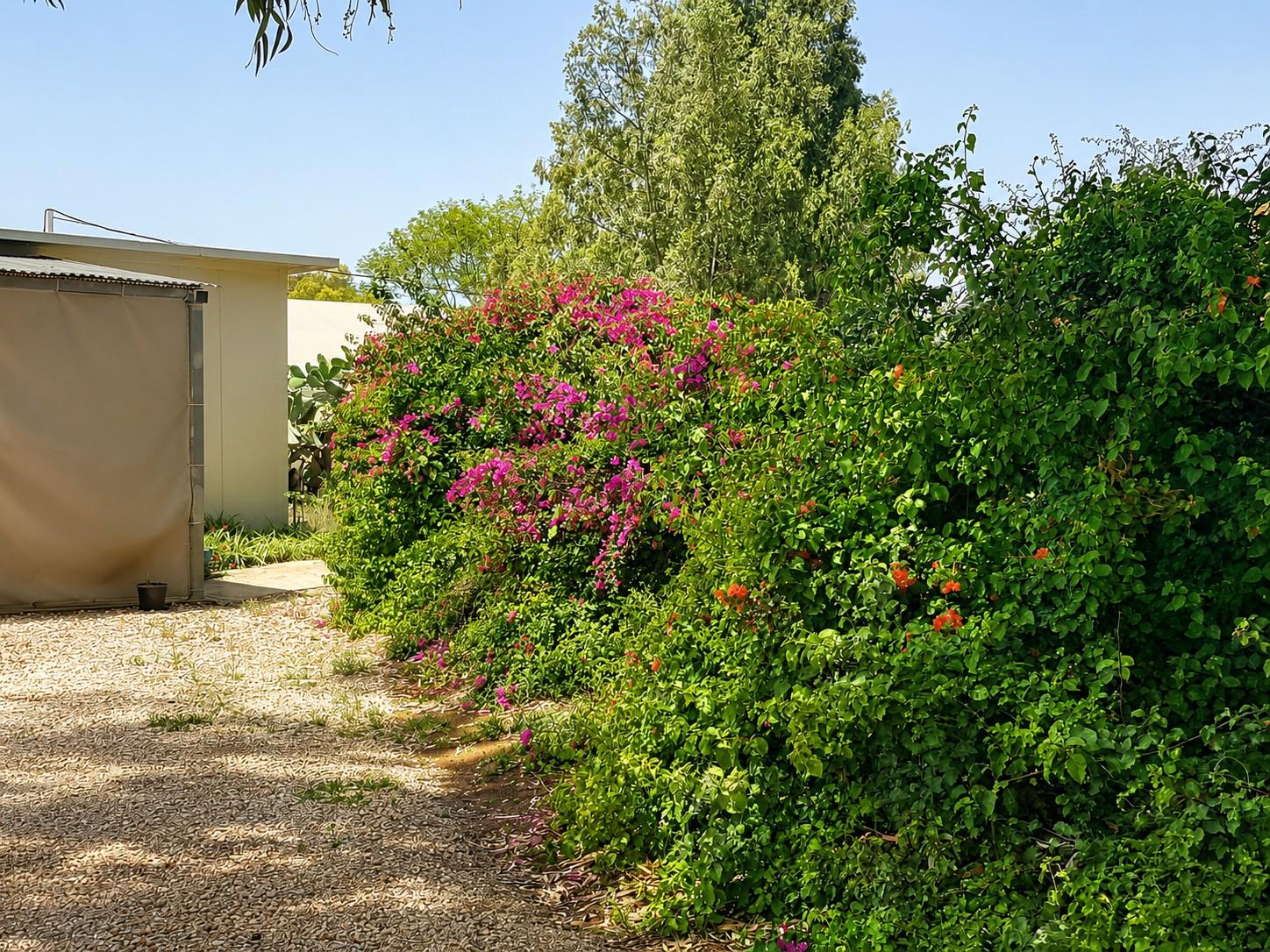 gallery_picture